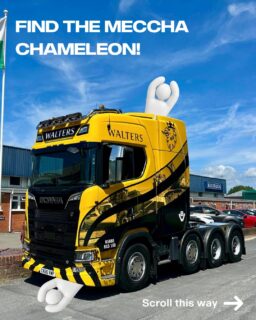 Admin is the hide and seek champπ¨ποΈ Good luck!
#SuppliedByKeltruck
